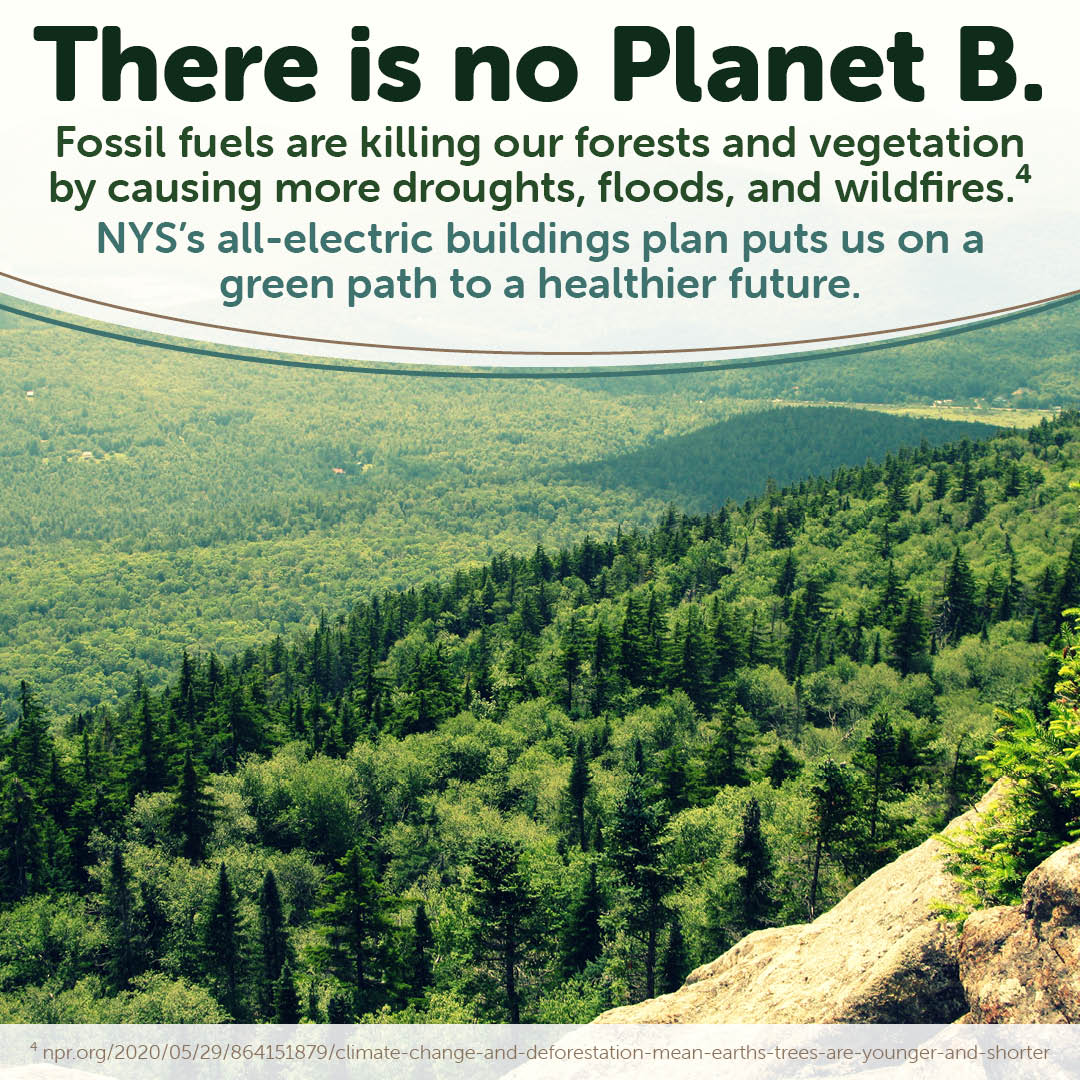 Fossil Fuels are our forests and vegetation